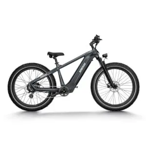 Himiway Premium All-terrain Electric Fat Bike Zebra